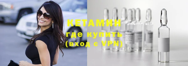 стаф Дегтярск