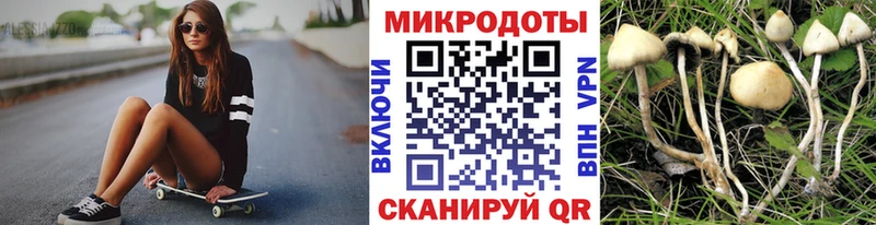 Галлюциногенные грибы MAGIC MUSHROOMS Реж