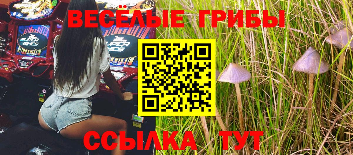 Галлюциногенные грибы мицелий Реж