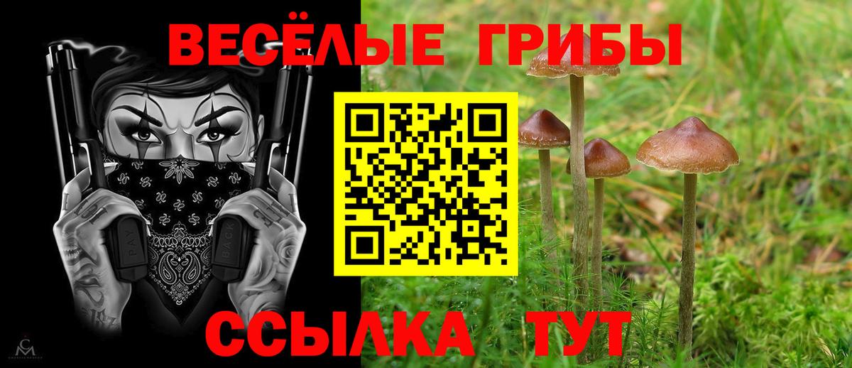 Реж  Псилоцибиновые грибы ЛСД  Вход с VPN 